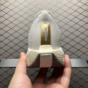 Nike Flex Plus Pegasus​ 