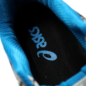 ASICS Gel-Nimbus 10.1