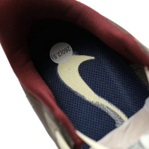 Nike Air Zoom Pegasus 41