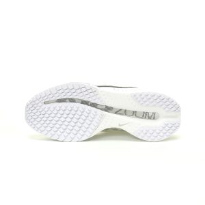 Nike Pegasus Premium 