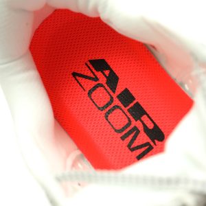 Nike Pegasus Premium Nike Pegasus Premium