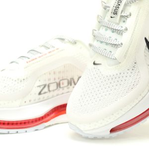 Nike Pegasus Premium 