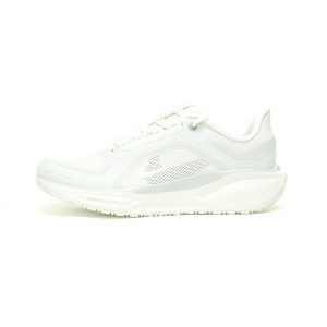 Nike Air Zoom Pegasus 41