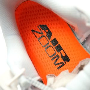 Nike Pegasus Premium 