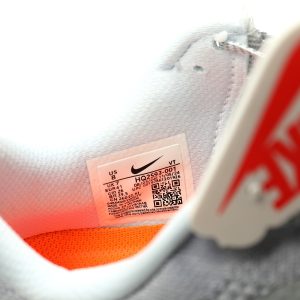 Nike Pegasus Premium 