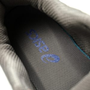 ASICS Gel-Nimbus 10.1