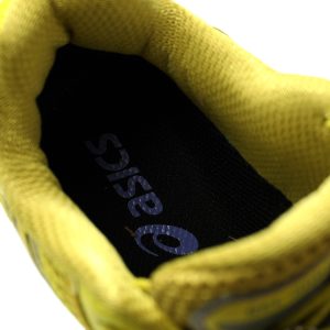 ASICS Gel-Nimbus 10.1