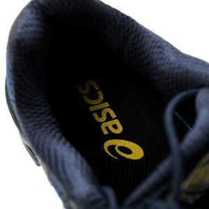 ASICS Gel-Nimbus 10.1