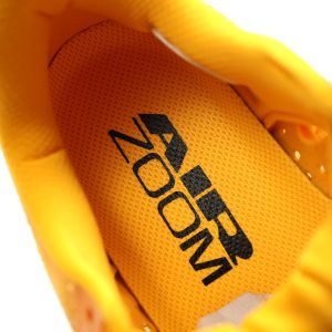 Nike Pegasus Premium 