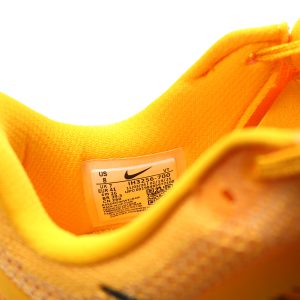 Nike Pegasus Premium 