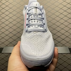 Nike Pegasus Premium