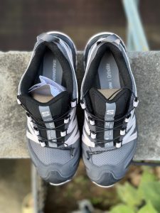 ​​Salomon XA Pro 3D 